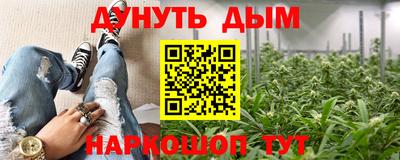 стаф Обь